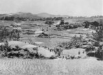 US Marines marching through rice paddies, Okinawa, Japan, 1945