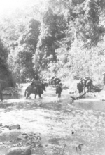 Members of US 5332nd Brigade (Provisional) crossing a stream, Burma, 17 Jan 1945