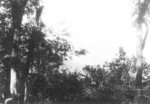 View of northern Burma, Jan 1945; photo taken by personnel of US 5332nd Brigade (Provisional)
