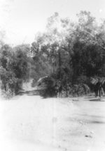 View of Ledo Road north of Bhamo, Kachin, Burma, Dec 1944; photo taken by personnel of US 5332nd Brigade (Provisional)