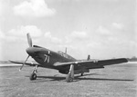 A-36 Mustang ground attack aircraft, which was based on the P-51 Mustang fighter, date unknown