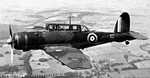 British Skua aircraft in flight, circa 1940s