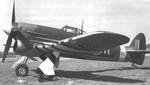 British Typhoon aircraft marked with black and white stripes for Normandy operations, date unknown