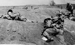 Killed US Marines on the beaches of Iwo Jima, Japan, Feb 1945