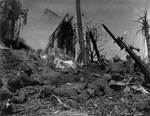 Men of US 7th Division waiting outside a Japanese blockhouse on Kwajalein while a flamethrower did its work, 4 Feb 1944