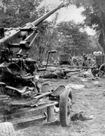 Polish Bofors anti-aircraft gun abandoned after the column was attacked by German aircraft during the Battle of the Bzura, near Kutno, Poland, Sep 1939
