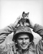 USMC Corporal Edward Burckhardt playing with a kitten he found at the base of Mount Suribachi, Iwo Jima, Japan, Mar 1945