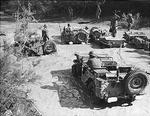 Five Willys MB vehicles in Italy, 1944. Note the antenna mount on the Jeep in the foreground and the bumper markings obliterated by the censors.