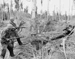Soldiers of US 32nd Division probing a Japanese foxhole near Buna, New Guinea, Dec 1942; note M1 Garand rifles