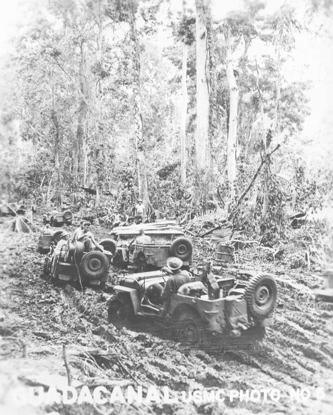 Jeeps, Guadalcanal, late 1942