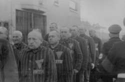 Sachsenhausen Concentration Camp file photo [27156]