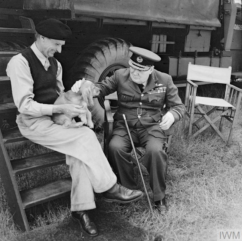 British Prime Minister Winston Churchill sharing a relaxing moment with General Bernard Montgomery’s spaniel puppy “Rommel” at Montgomery’s headquarters at Blay, Normandy, France, 7 Aug 1944.