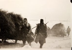 German infantry, date and location unknown