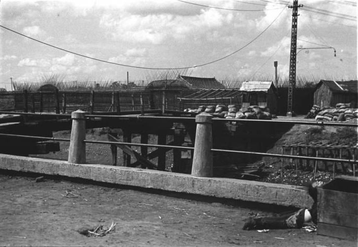 Chinese woman killed by Japanese bombing at the side of a bridge, Shanghai, China, mid-1937, photo 1 of 3