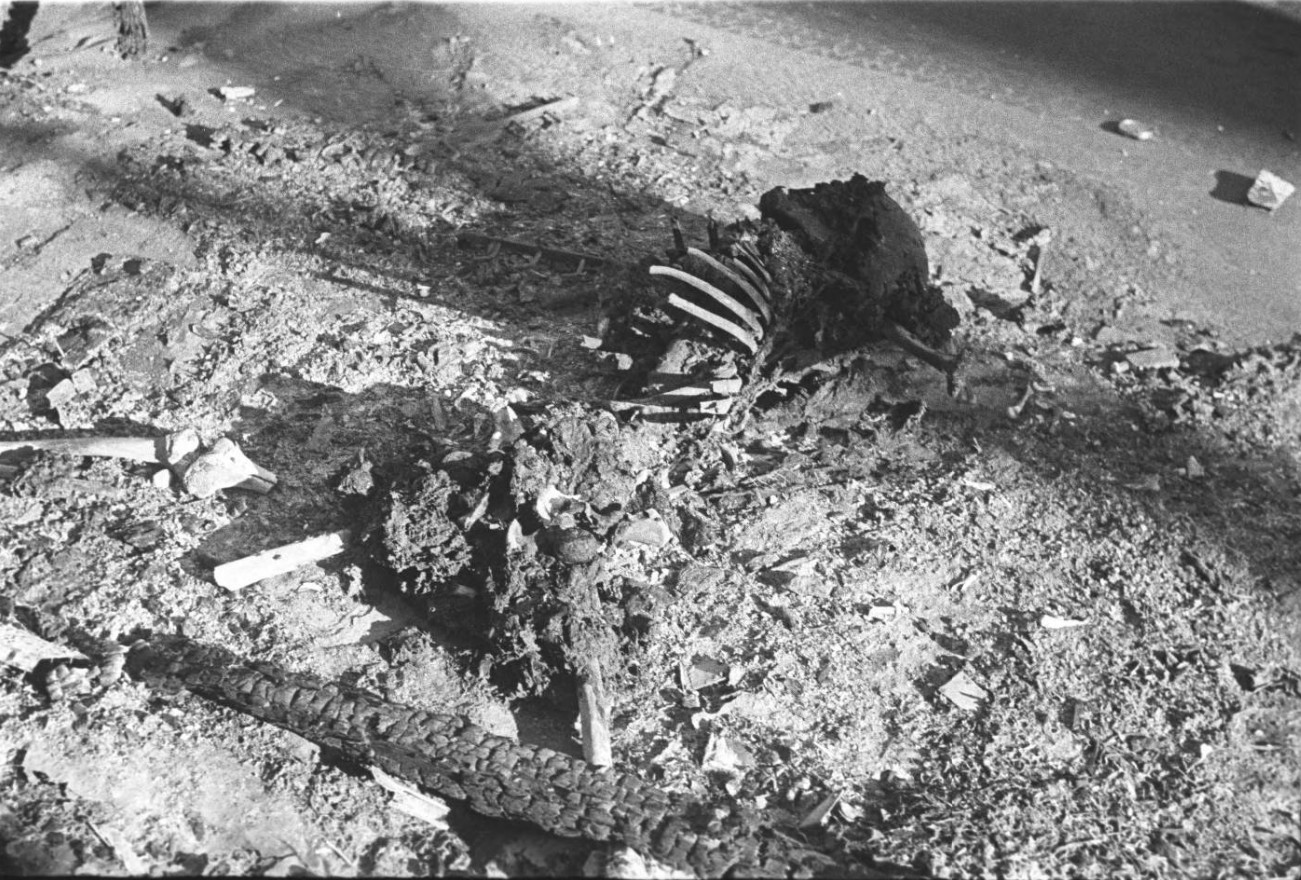 Photo Charred Human Remains Shanghai China Mid 1937 World War Ii Database