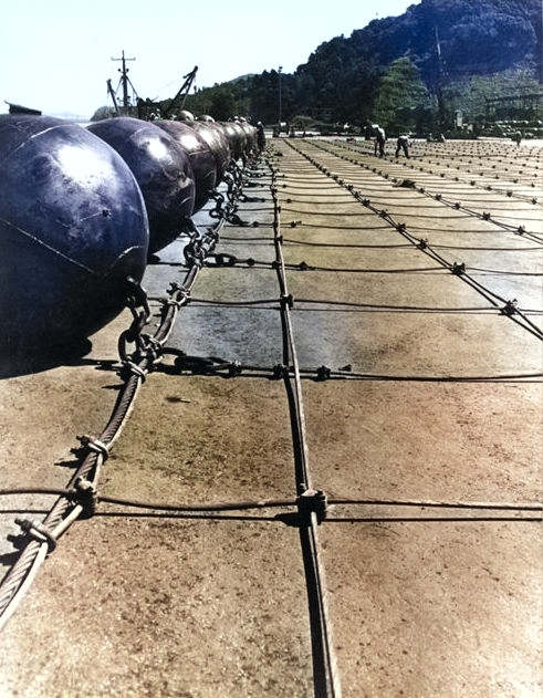 United States Navy sailors constructing submarine nets with floats, Tiburon Naval Net Depot, Tiburon, California, United States, circa 1943. [Colorized by WW2DB]