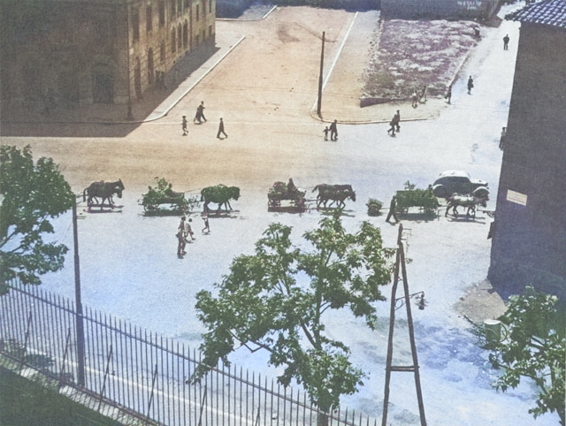 German troops withdrawing from Rome, Italy by horse-drawn carts, Jun 1944 [Colorized by WW2DB]