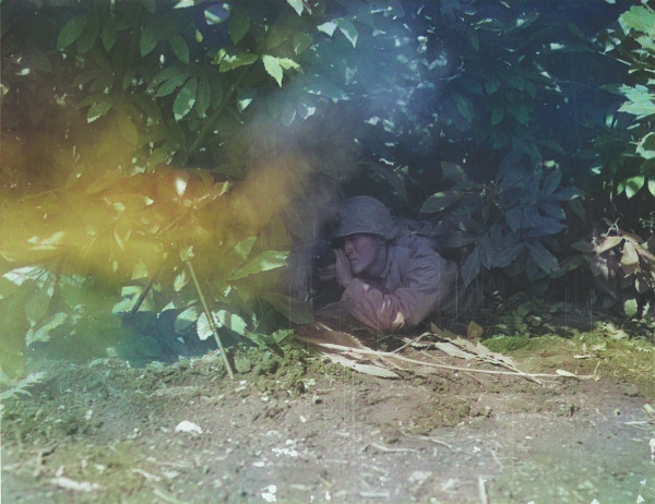 Japanese-American BAR gunner of US 100th Infantry Battalion taking position during mock maneuvers, Italy, 12 Oct 1943 [Colorized by WW2DB]