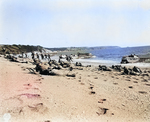 US troops conducting landing exercises at Slapton Sands, Devonshire, England, United Kingdom, 25 Apr 1944