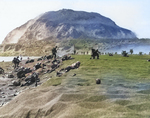 Fifth Division Marines moving inland off the beach, after coming ashore on Iwo Jima, 19 Feb 1945; note Mount Suribachi in background