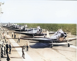 TBD-1 Devastator aircraft of US Navy squadron VT-3 preparing to launch from USS Saratoga, circa 1938-1940