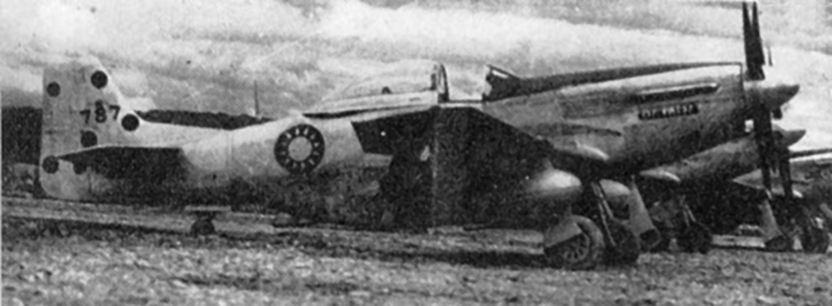 P-51D Mustang fighter of 27th Fighter Squadron of 5th Fighter Group of Chinese American Composite Group, Chichiang Field, southern China, Jul 1945