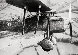Ro.37 Lince file photo [5237]