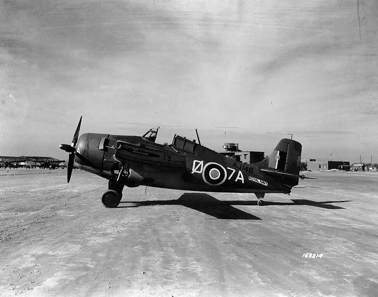 British Martlet II (Wildcat) fighter at La Senia airbase, Oran, Algeria, 14 Dec 1942, photo 2 of 2
