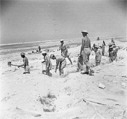 British troops digging defensive trenches near El Alamein, Egypt, 4 Jul 1942