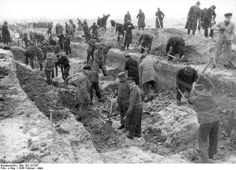 German Volkssturm soldiers digging anti-tank ditches outside Berlin, Germany, Feb-Mar 1945