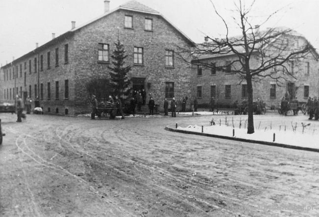 A Christmas tree standing in front of Block 15 in Auschwitz I Concentration Camp, date unknown