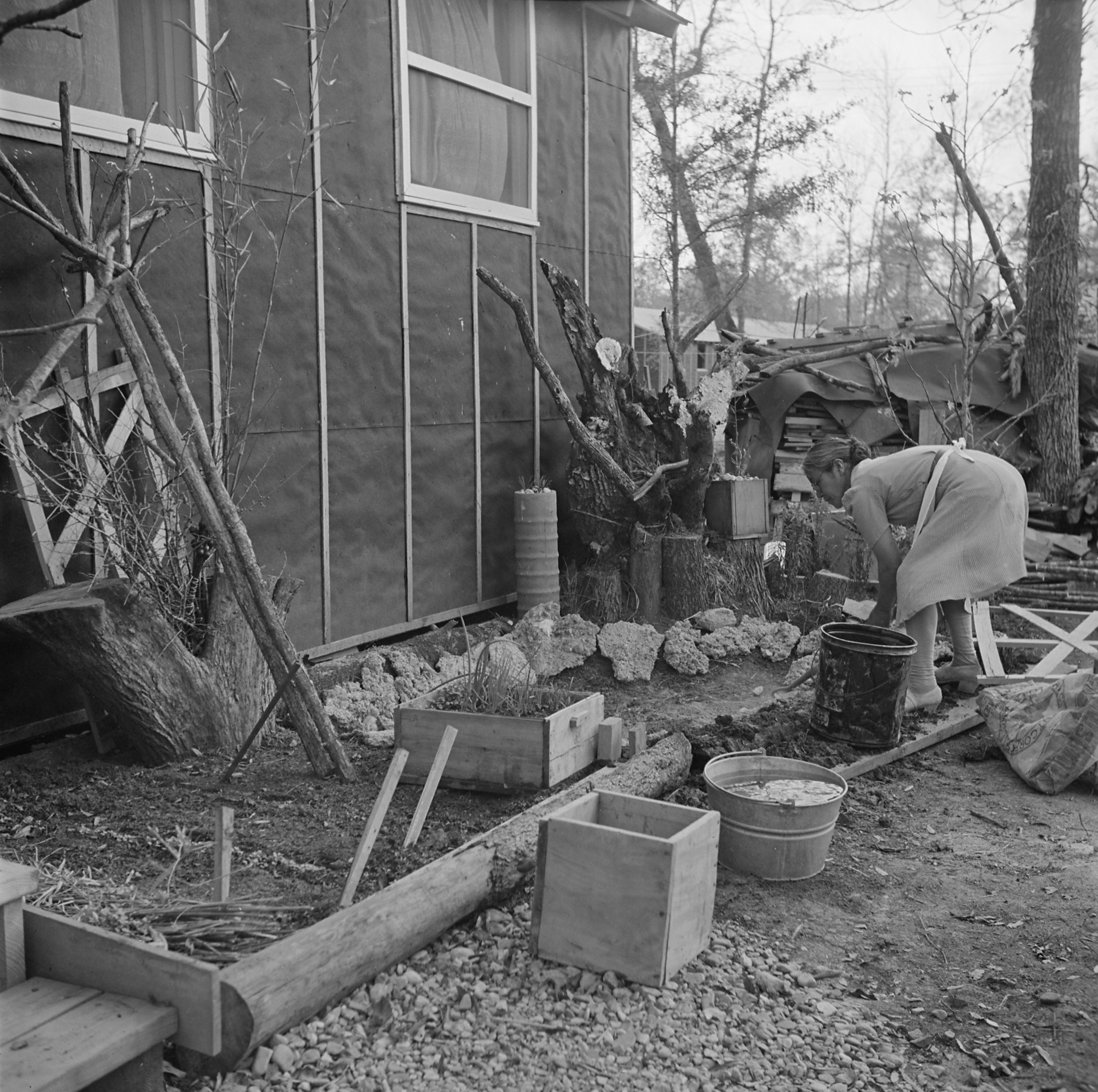 Mrs. T. Arima working in her garden at Jerome War Relocation Center, Arkansas, United States, 17 Nov 1942, photo 1 of 2