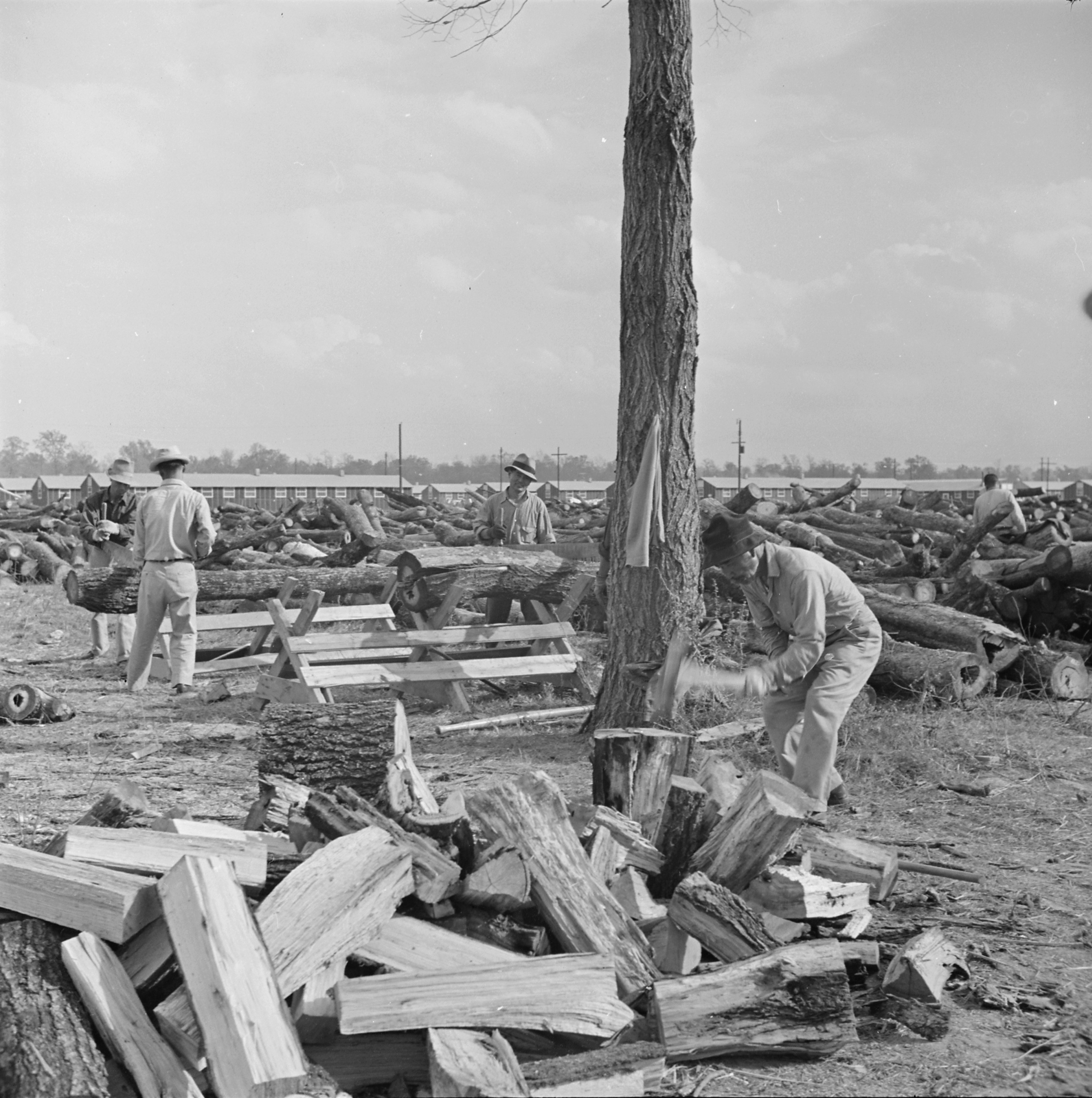 Woodcutting at Jerome War Relocation Center, Arkansas, United States, 17 Nov 1942, photo 1 of 2