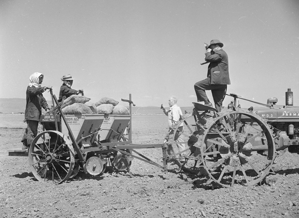 Japanese-American farmers operating a rotary potato planter, Tule Lake Relocation Center, Newell, California, United States, 1 Jul 1945, photo 2 of 2