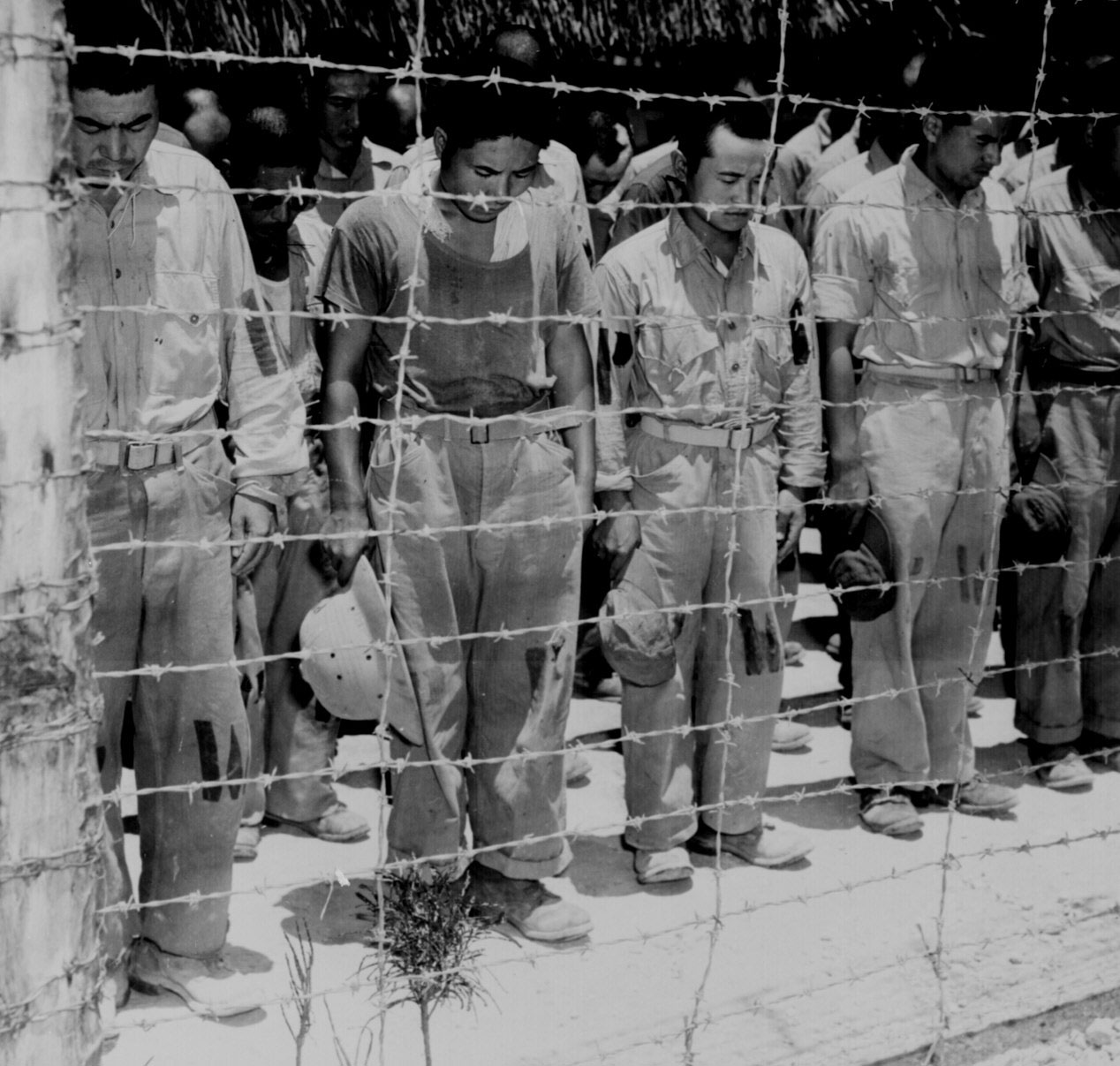 Japanese POWs at Guam bowed their heads after hearing Emperor Showa's surrender announcement, 15 Aug 1945, photo 1 of 2