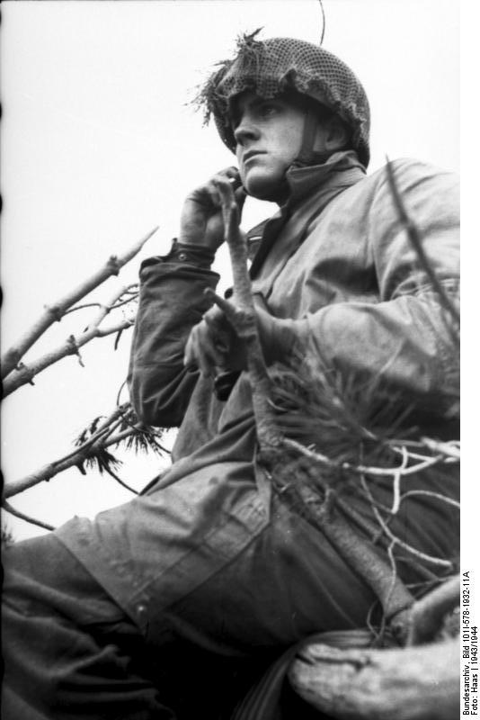 German paratrooper observing the field from a treetop position, Monte Cassino, Italy, 1943-1944, photo 1 of 2