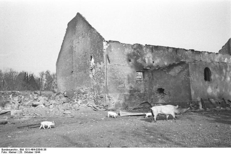 Destroyed buildings at Nemmersdorf, East Prussia, Germany, late Oct 1944, photo 4 of 6