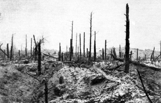 Finnish forest destroyed by combat, 1939-1940