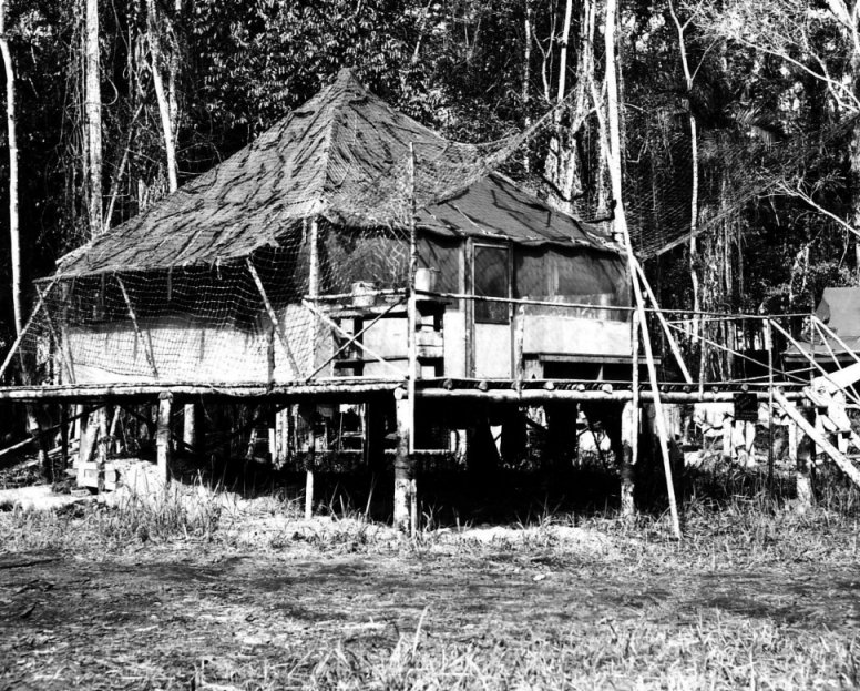USAAF 3rd Bomb Group photographer Jack Heyn's tent at Dobodura Airfield, Australian Papua, mid-1943