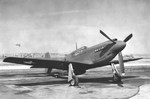 A-36A Mustang aircraft #42-83663, probably at North American Aviation plant at Inglewood, California, United States, 1942. Photo 1 of 2