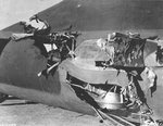 US B-17F Fortress “All-American” of 414th BS, 97th BG on the ground at its base in Biskra, Algeria showing severe damage from a mid-air collision with a German fighter over Tunis, Tunisia, 1 Feb 1943. Photo 5 of 8