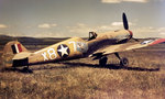 This Messerschmitt Bf-109 was shot down by British ground fire in Tunisia on Mar 1 1943, recovered by USAAF 87th Fighter Squadron, and repainted in their markings, Mar 1943. Note the missing canopy.