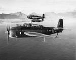 An element of TBM-1C Avengers of Torpedo Squadron VT-32 assigned to Light Carrier USS Langley flying south from their temporary training base at Kaneohe, Oahu, Hawaii, 3 Jan 1944. Note Ko