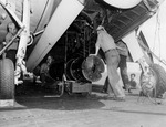 Ordinancemen working to load a Mark 10 aerial mine into the bomb bay of a TBF-1C of Torpedo Squadron VT-16 aboard USS Lexington (Essex-class), 29 Mar 1944 off the Palau Islands.