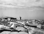 North American SNJ-4 Texan advanced trainers lined up at the Naval Air Station at Corpus Christi, Texas, United States, July 1942.