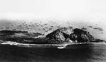 Aerial view of Iwo Jima and Mt Suribachi looking across the southern point and the landing beeches to the supply ship staging area, 24 Feb 1945, five days after the initial landings.