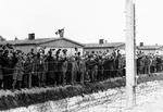 Prisoners at Dachau concentration camp cheer as the US 42nd Division moves in to liberate the camp, 3 May 1945