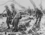 US Marines evacuating a comrade, Cape Gloucester, New Britain, 1944