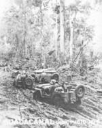 Jeeps, Guadalcanal, late 1942