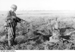 German soldier capturing a Soviet soldier, 1941-1942